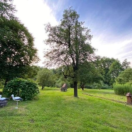 Villa Letnisko Wiolinkowo Sarnaki Exterior foto